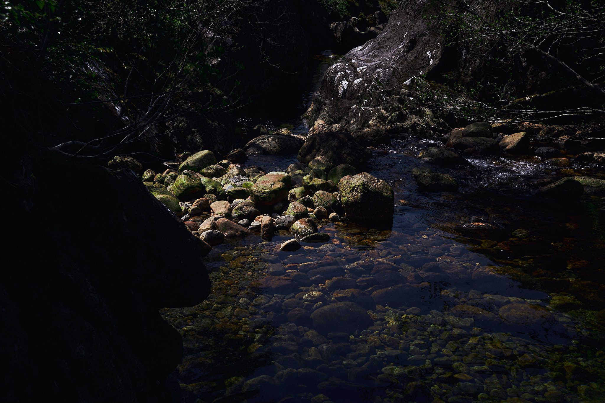 Highland stream with stones and light filtering through trees