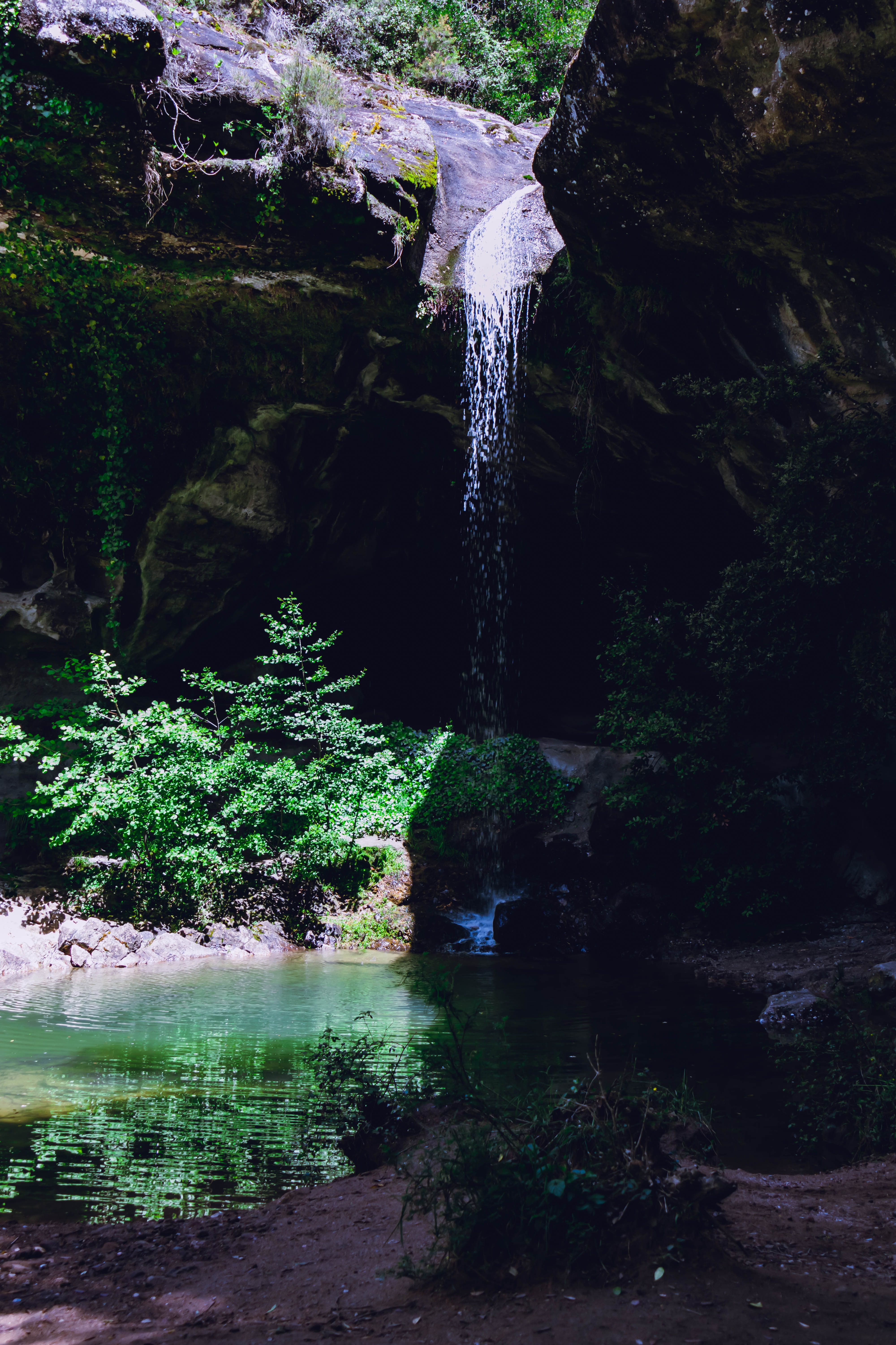 Waterfall jet falling into a green alcove