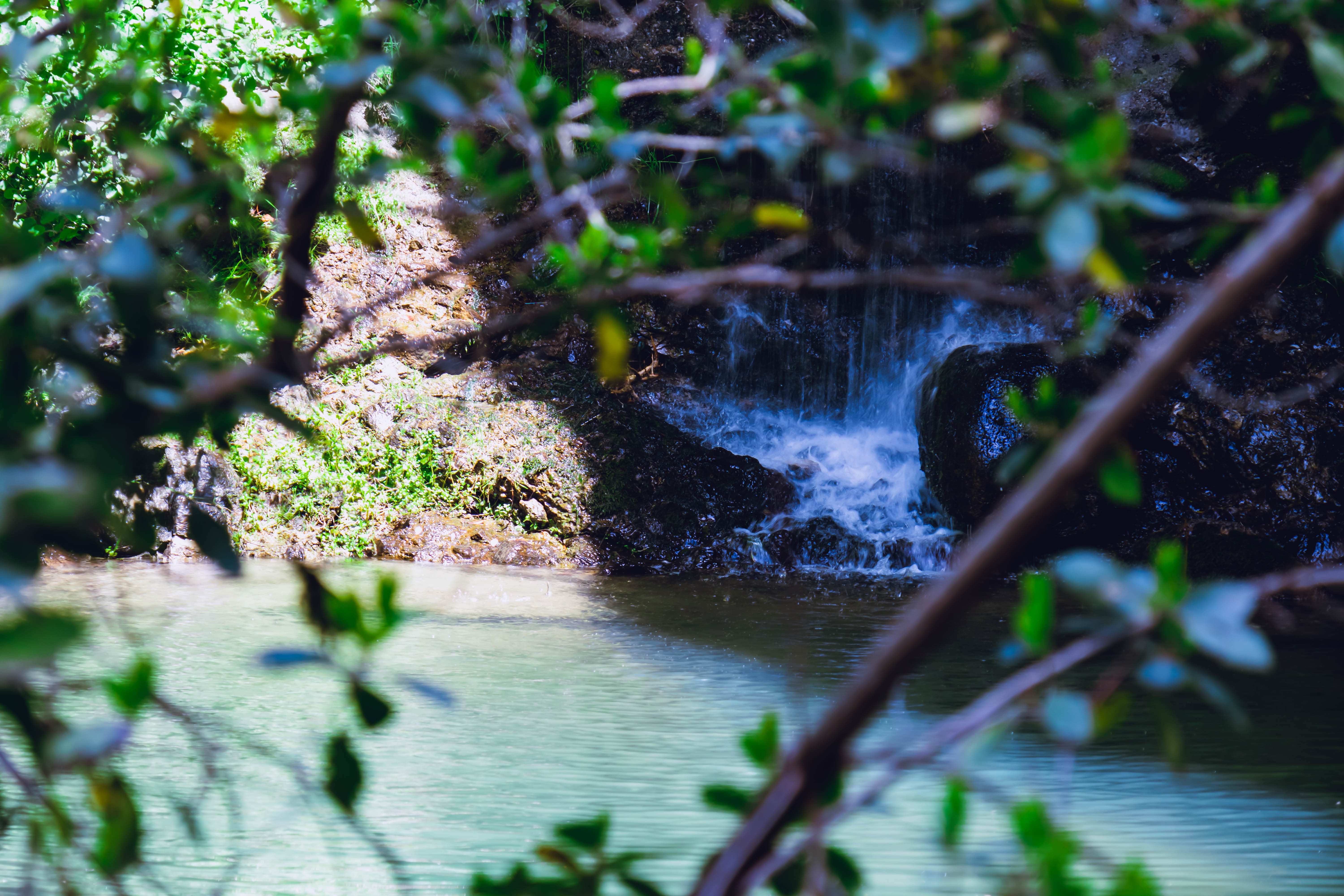 Small waterfall framed by branches over still pool