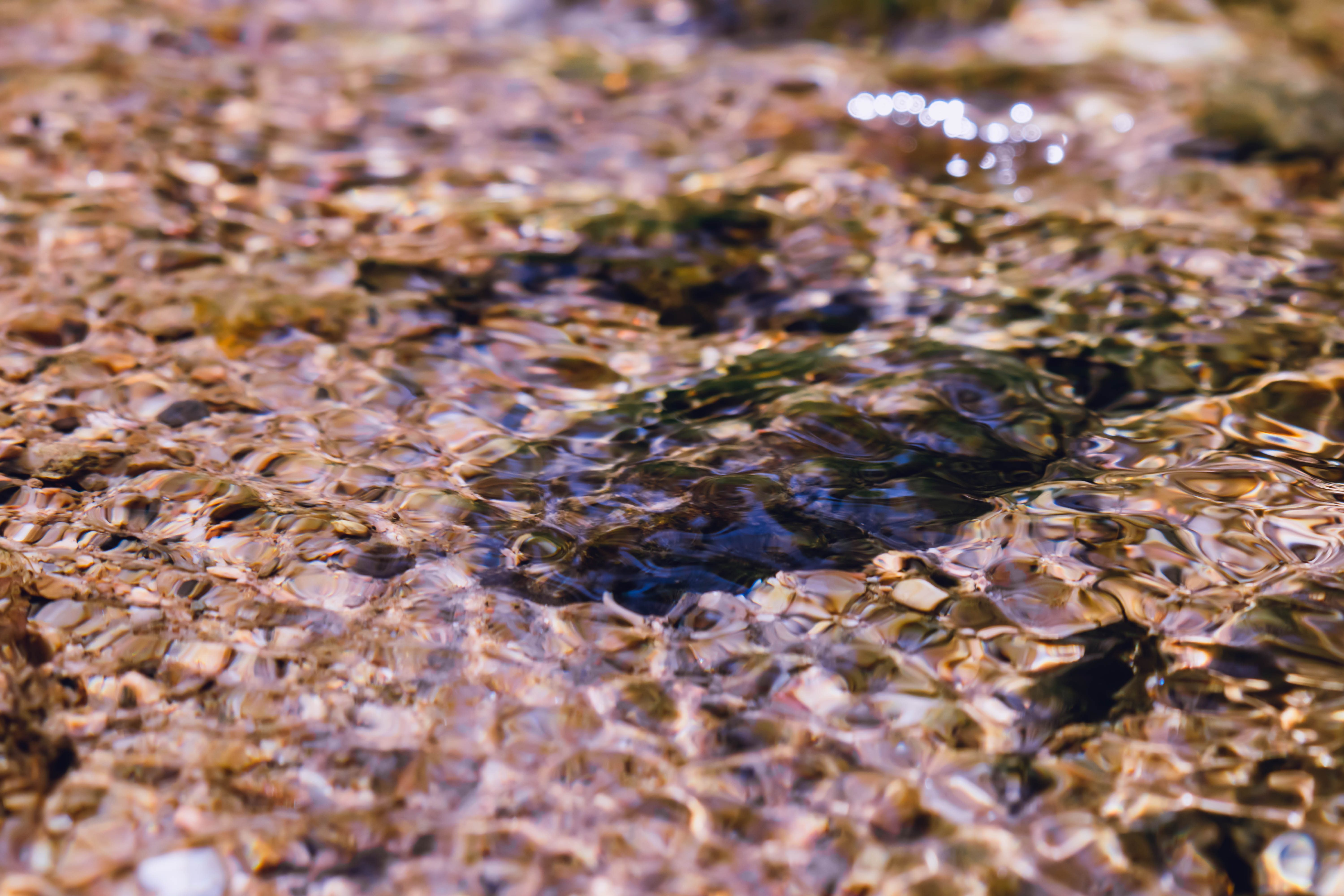 Pebbled riverbed water texture, light shimmering on stones