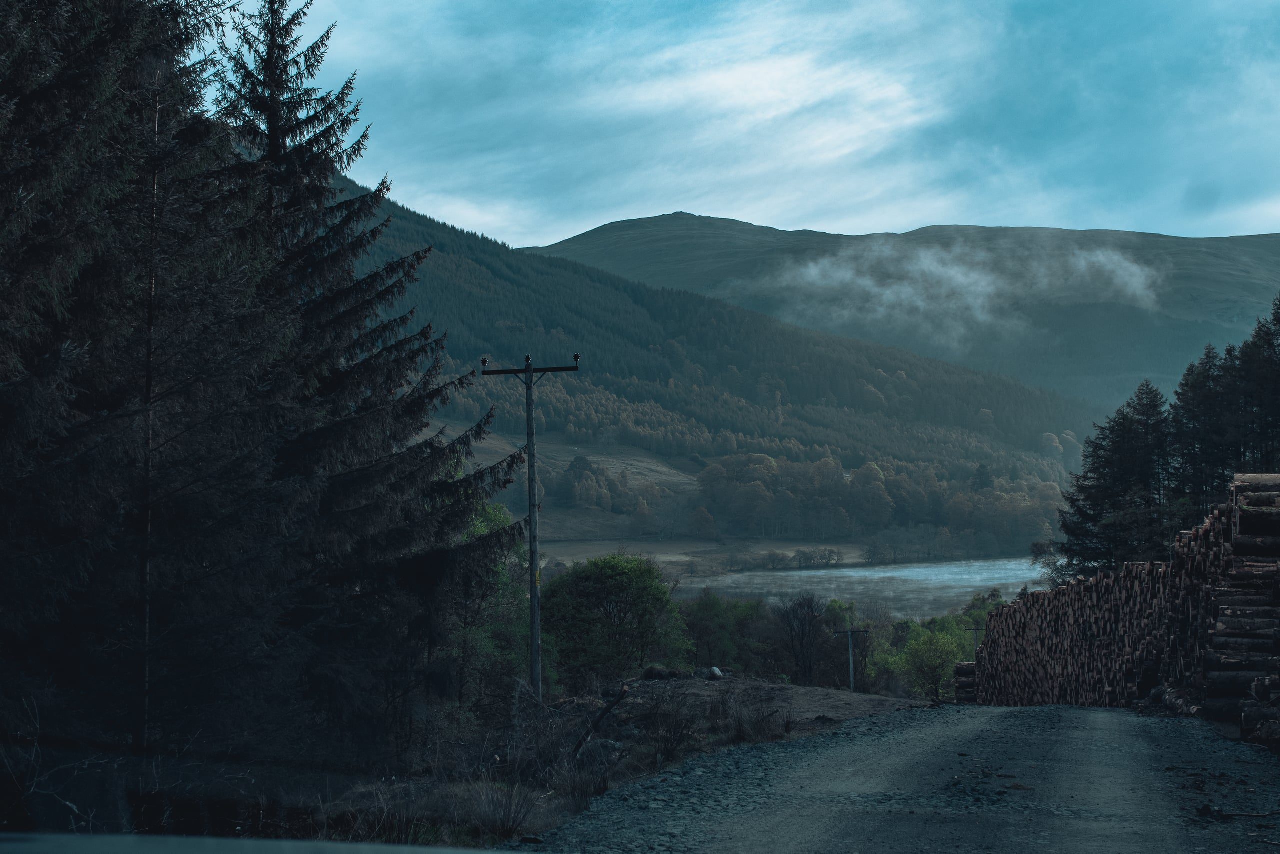 Misty Highland road with spruce trees and stacked logs